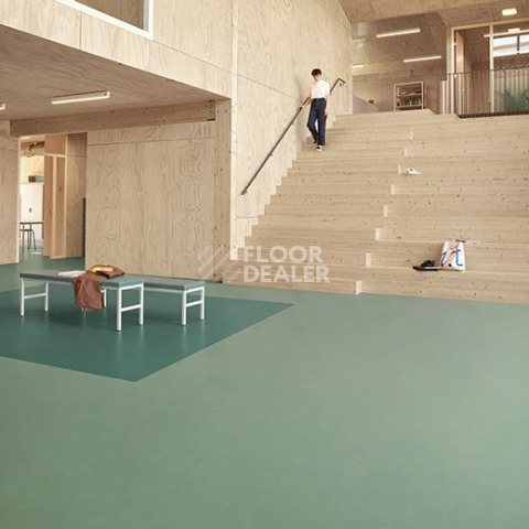 Forbo Marmoleum Solid Concrete 3752 taiga фото 2 | FLOORDEALER